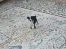 02_211.webp