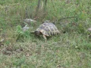 02_082.webp