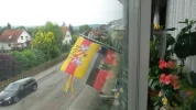 flaggen.webp
