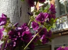 DSCN1308 (2).webp