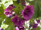 DSCN1309 (2).webp