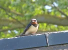 DSCN0943.webp