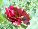 DSCF8399.webp