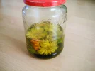DSCF8440.webp
