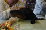 jdve9fbqasz.webp