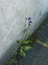 P1010527.webp