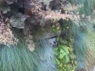 20160622_135716_resize.webp