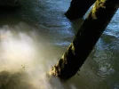 DSCN1349.webp