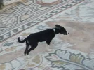 02_212_resize.webp