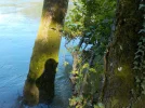 Der integrierte Schatten