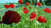 20160604_172647 (2).webp