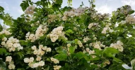 20160618_174419.webp