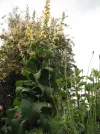 DSCF8428.webp