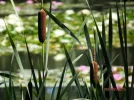 20150809_310.webp