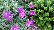 20160622_183117.webp