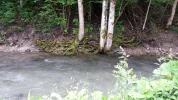 20160619_172839.webp