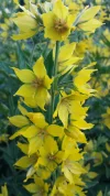 20160615_191048.webp