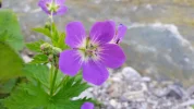 20160610_182601.webp