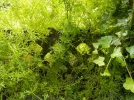 DSCN1063.webp
