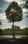 wachsen (1 von 1).webp