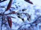 20160426_213.webp