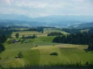 P1010540.webp