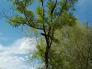 DSCN0861.webp
