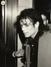 14.webp