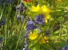 DSCN1492.webp