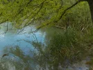 DSCN1499 (2).webp