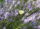 DSCN1485 (2).webp