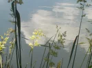 DSCN1449 (3).webp