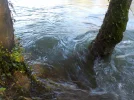 DSCN1369.webp