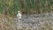 DSCF6279.webp