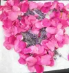 DSCF8463.webp