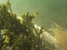 DSCN1538.webp