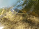 DSCN1556.webp