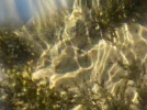 DSCN1552.webp