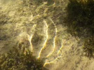 DSCN1567 (2).webp