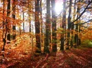 hbw.webp