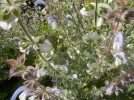 DSCN1609.webp