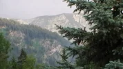 S1070003.webp