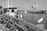 Warnemünde 20.05.2012 072.webp