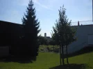 B0033.webp