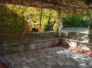 DSCF9677.webp
