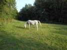 B0137.webp