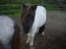 Dscn0123.webp