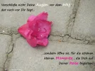Augen.webp