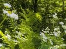 DSCN1639 (2).webp