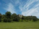 DSCN1655.webp
